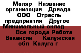 Маляр › Название организации ­ Дриада, ООО › Отрасль предприятия ­ Другое › Минимальный оклад ­ 18 000 - Все города Работа » Вакансии   . Калужская обл.,Калуга г.